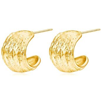 ZARA Earrings